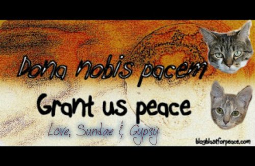 pizap.com13835193488371