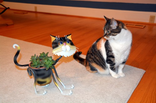 sundae planter1 11-17-2013 5-24-37 AM