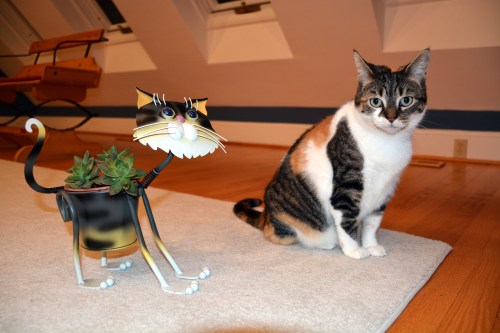 what 11-17-2013 5-24-53 AM