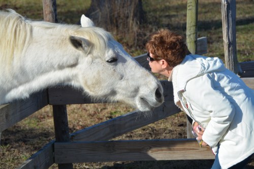 aggie and db 12-26-2013 10-08-42 PM