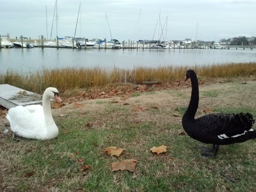 bride and groom 12-5-2013 2-03-43 PM