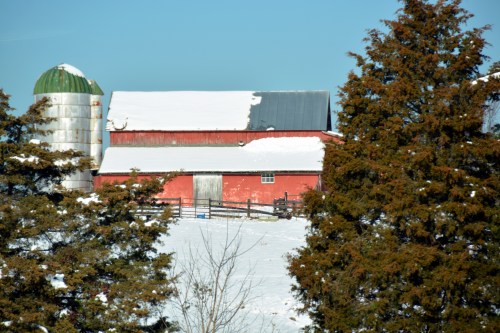 christmas barn2 12-10-2013 9-38-33 PM