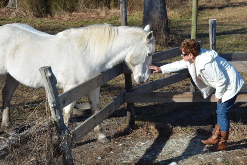 db petting aggie 12-26-2013 10-07-55 PM