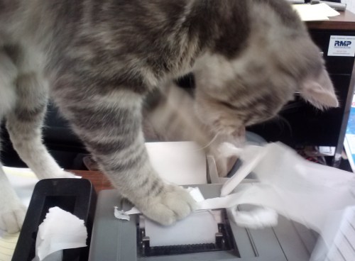 gypsy and calculator 12-3-2013 12-22-22 PM