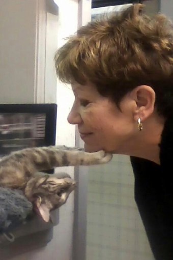 gypsy and db - chin 11-27-2013 7-16-43 PM