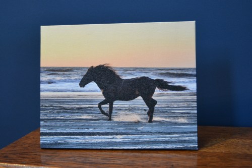 in the wind canvas 12-30-2013 4-02-17 AM 12-30-2013 4-02-17 AM