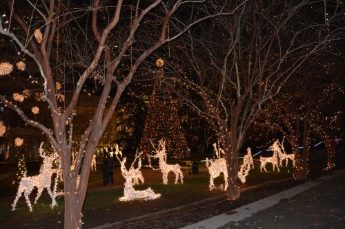 lights at james center 12-7-2013 6-03-05 AM