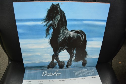 oct 12-31-2013 6-13-07 AM