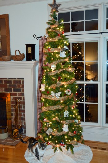 sundae and christmas tree 12-5-2013 9-22-27 AM