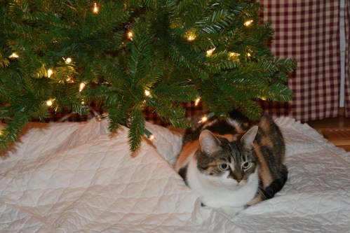 sundae tree1 12-1-2013 8-58-26 AM