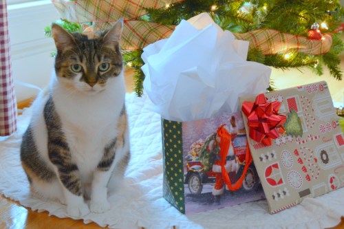 sundae under tree 12-10-2013 12-40-36 AM