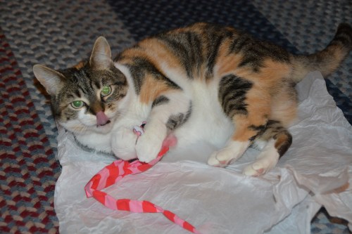 sundaes tongue 12-25-2013 8-46-22 AM