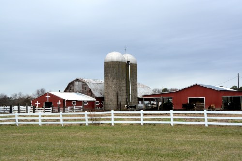 barns1 1-5-2014 2-21-44 AM
