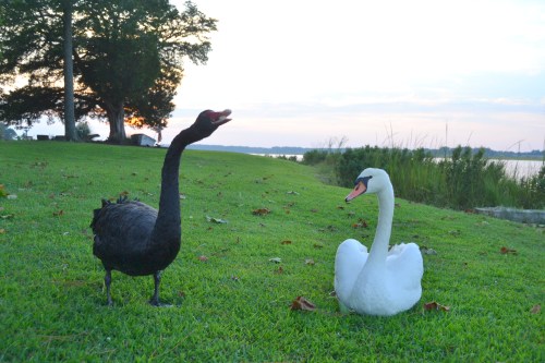 bride groom sunset 9-2-2013 7-12-22 PM