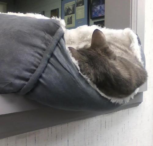 gypsy hangover2 1-23-2014 7-16-52 PM