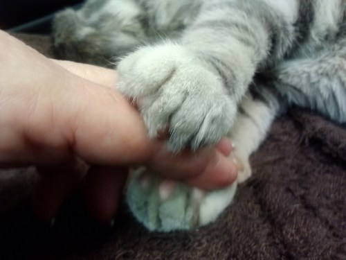 hold your hand 1-11-2014 1-16-58 PM