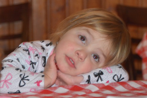 lily2 1-23-2014 4-43-17 AM