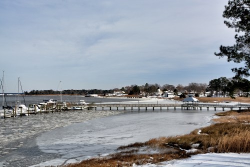 marina 1-29-2014 1-32-031