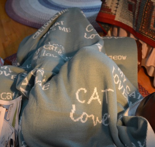 sundae under throw1 12-28-2013 11-54-17 PM