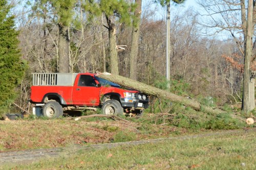 tree on truck. 1-11-2014 8-45-08 PM