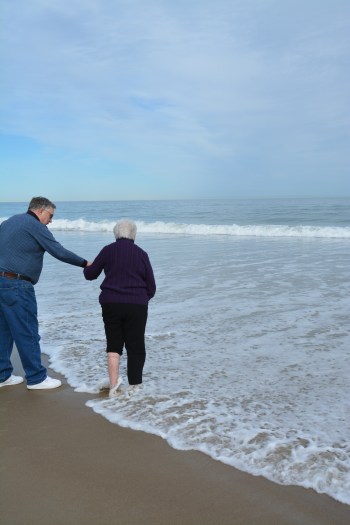 dip1a 2-22-2014 2-28-55 PM