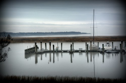 fog 1-13-2014 10-36-057