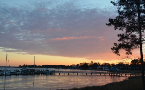 lavender 2-25-2014 6-40-10 AM