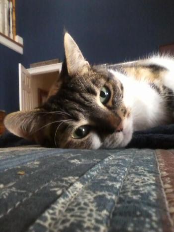 sundae 12-30-2013 9-01-10 PM