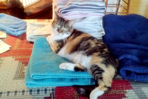 sundae towels 2-5-2014 4-22-13 PM