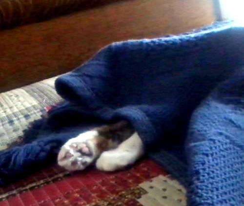 sundae under throw 2-16-2014 7-13-45 AM