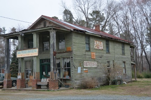 2 frogs 3-12-2014 9-08-09 AM