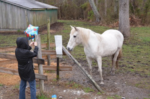 "For me? You shouldn't have!"