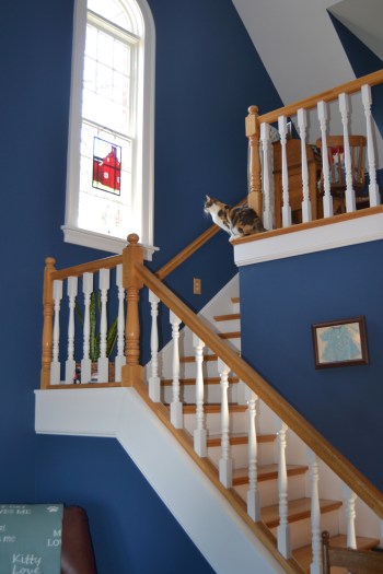 ready to jump 2-27-2014 11-18-15 AM