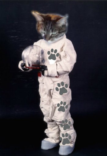 sundae in space suit