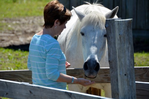 aggie and db 4-26-2014 3-00-22 PM