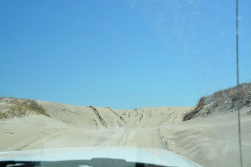 dune1 4-26-2014 11-18-26 AM