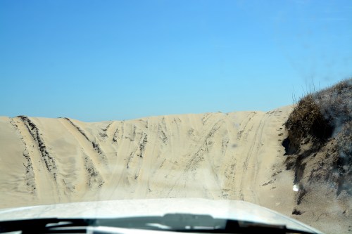 dune2 4-26-2014 11-18-30 AM