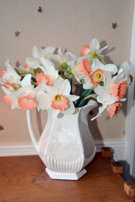 pink charm 4-6-2014 7-05-03 PM