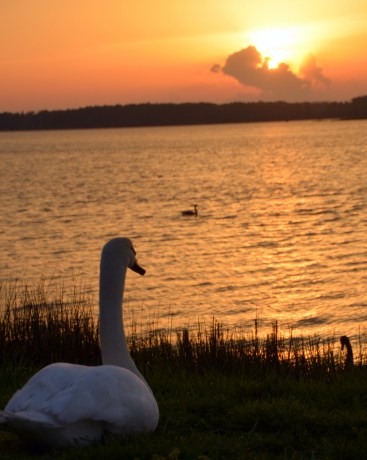bride groom sunset 5-1-2014 7-42-06 PM
