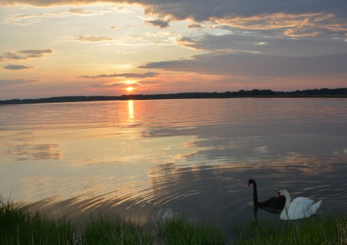 bride groom sunset1 5-12-2014 7-53-09 PM 5-12-2014 7-53-09 PM