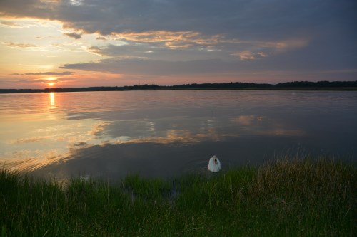 bride sunset best 5-12-2014 7-52-58 PM