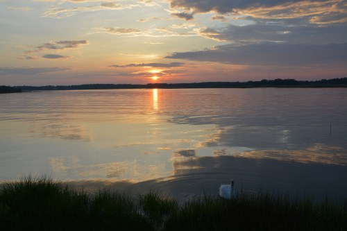 bride2 sunset 5-12-2014 7-52-41 PM