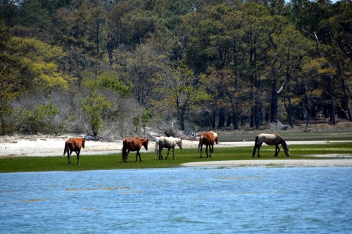 by the water 5-3-2014 1-42-33 PM