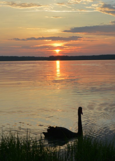 groom 5-12-2014 7-53-40 PM