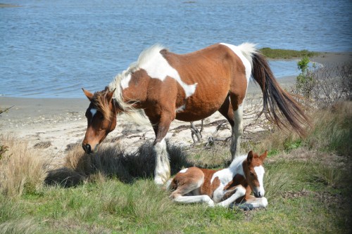 mom and babe2 5-4-2014 11-03-46 AM