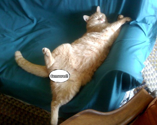 What? Humans don't lie like this?