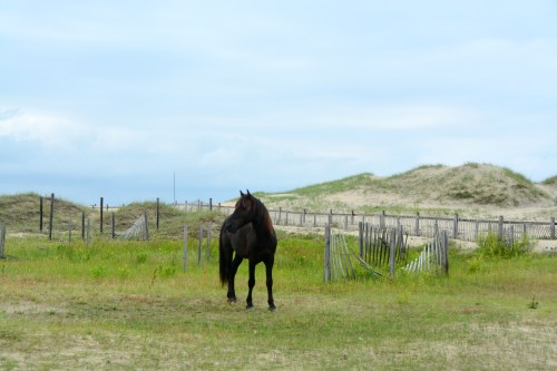 bb 6-21-2014 8-29-05 AM