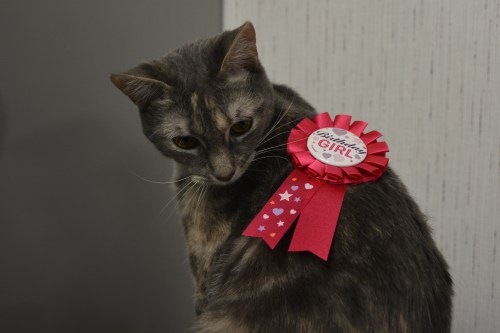 bd girl1 6-17-2014 12-49-27 PM