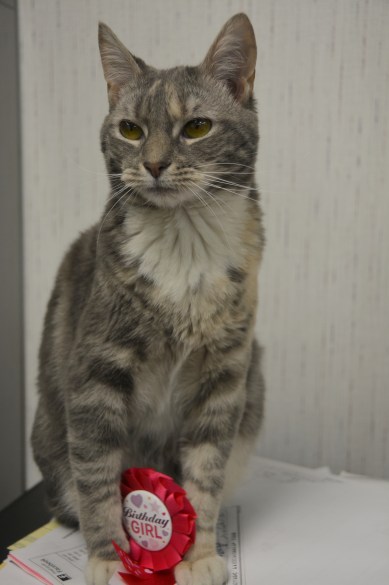 bd girl2 6-17-2014 12-50-57 PM