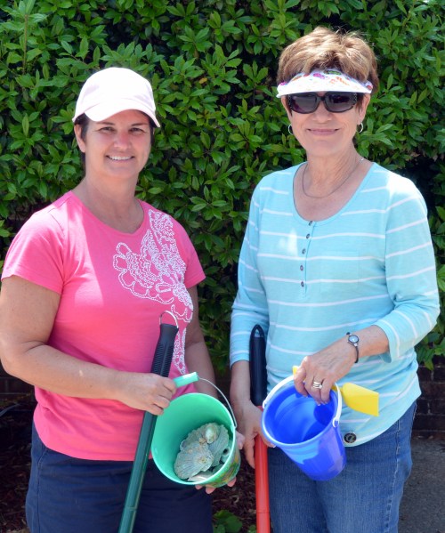 bev db 6-4-2014 12-10-19 PM